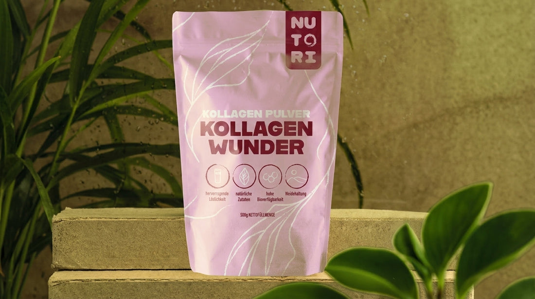 Ein stilvolles, helles Stillleben mit einer Dose Nutori Kollagen Wunder, einer Packung Wunder Schön Kapseln, frischen Wassertropfen und zarten Blüten auf einer natürlichen Steinoberfläche.