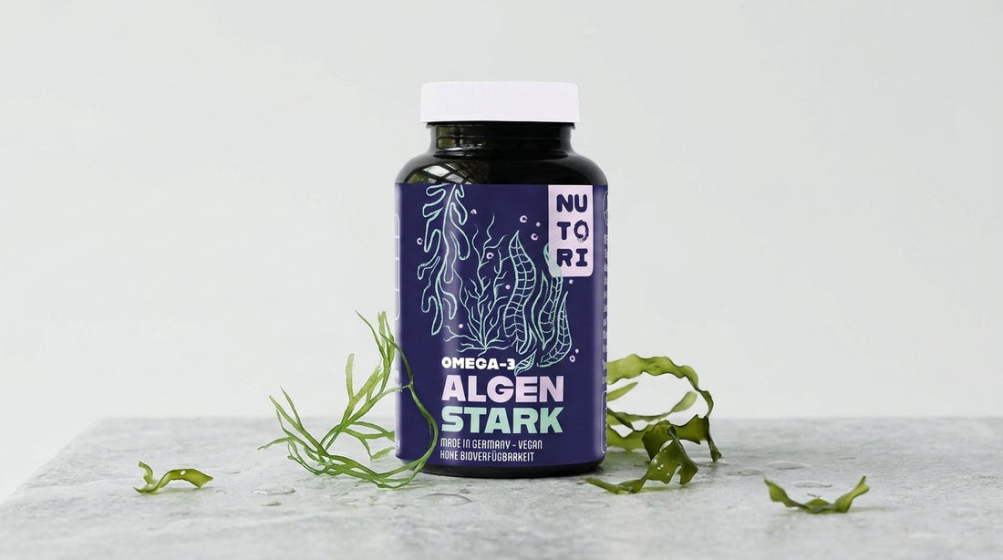 Eine dunkle Produktflasche von Nutori OMEGA-3 ALGEN STARK vor einem minimalistischen, grauen Hintergrund mit grünen Algen-Elementen