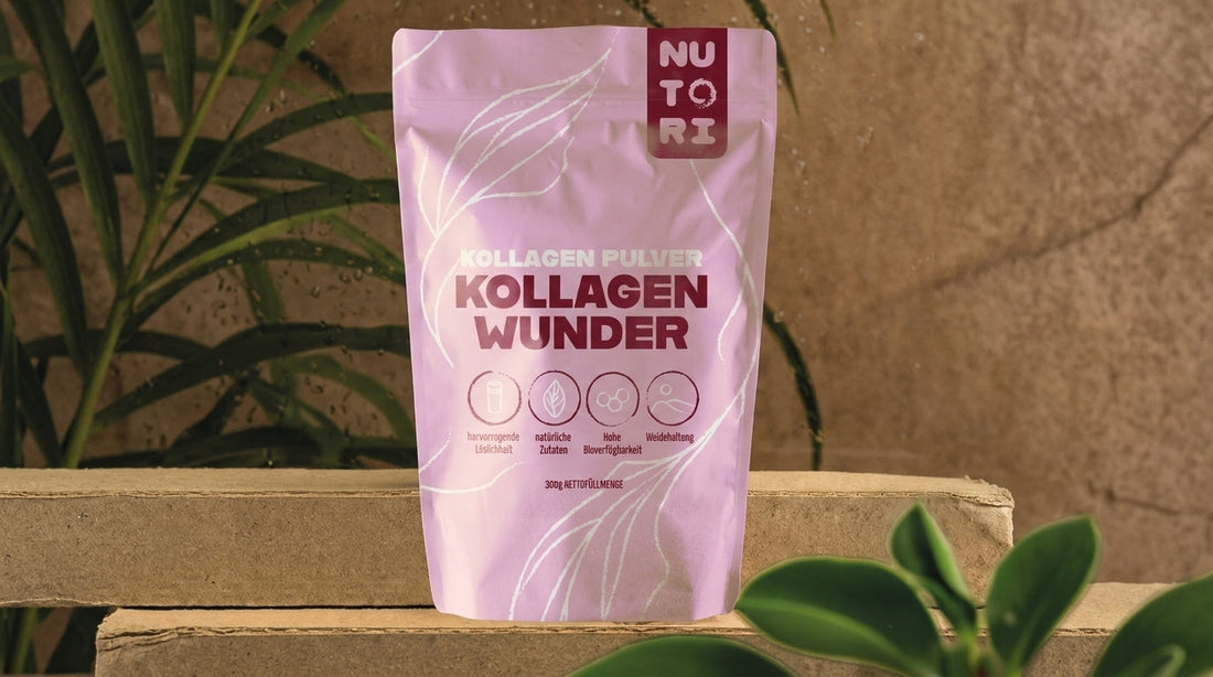 Eine Dose NUTORI KOLLAGEN WUNDER auf einem minimalistischen Holzpodest, umgeben von frischen grünen Blättern und feinen Wassertropfen, die natürliche Reinheit und Frische symbolisieren. ·