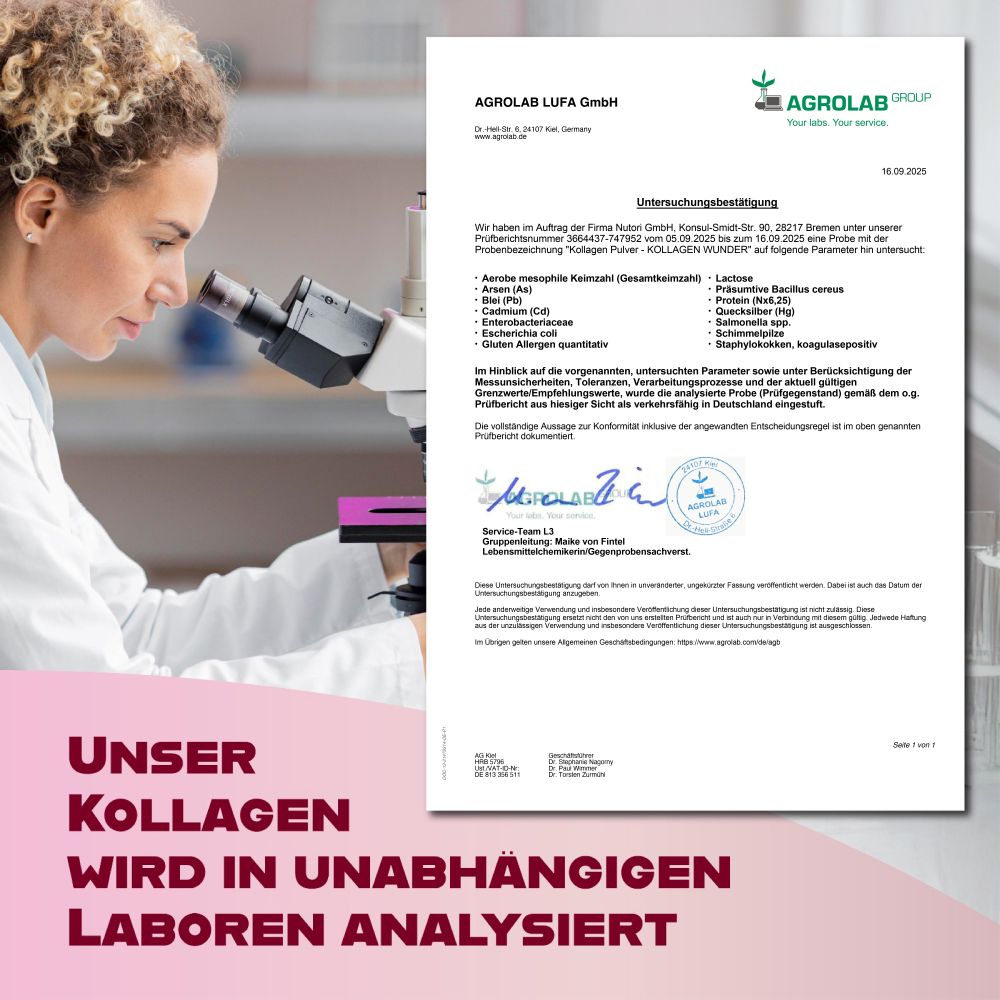 Set "WUNDER" mit Kollagenpulver & Apfelessig-Gummies