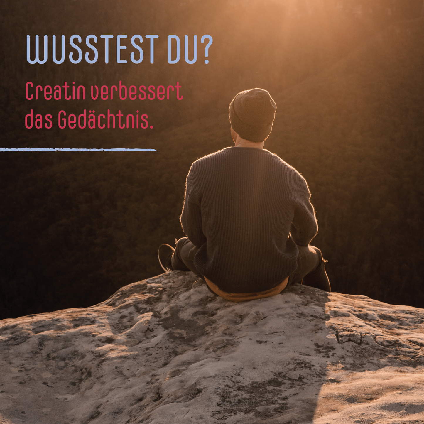 MEGA CREATIN KAPSELN